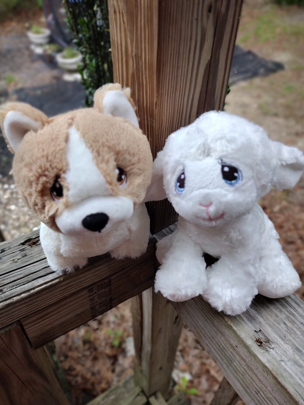 Precious Moments Plush Corgi Puppy And Lamb